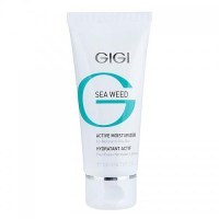 GIGI Cosmetic Labs GIGI Cosmetic GIGI, Active Moisturizer – Активный увлажняющий крем, 250мл