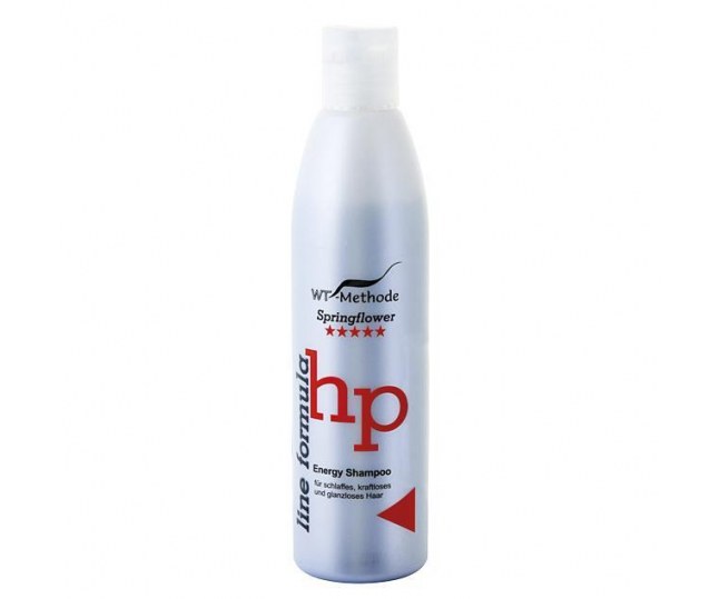 WT-Methode Energy Shampoo Шампунь для слабых и тусклых волос 1000мл